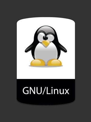 Servidor Plataforma Linux