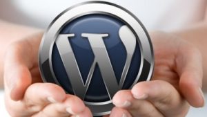 traducao wordpress